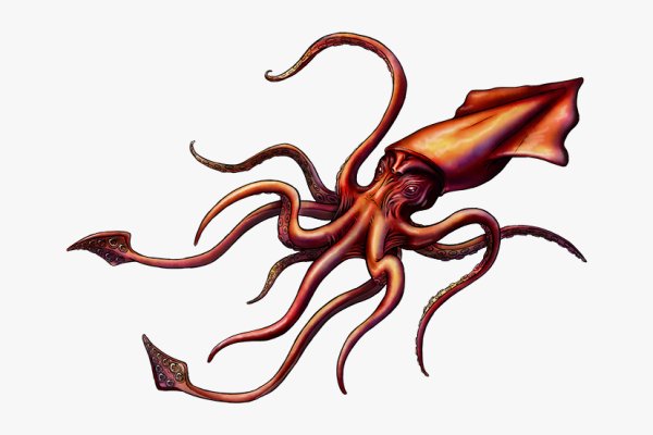 Kraken 23at