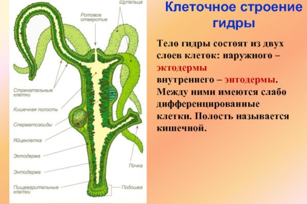 Актуальное зеркало kraken