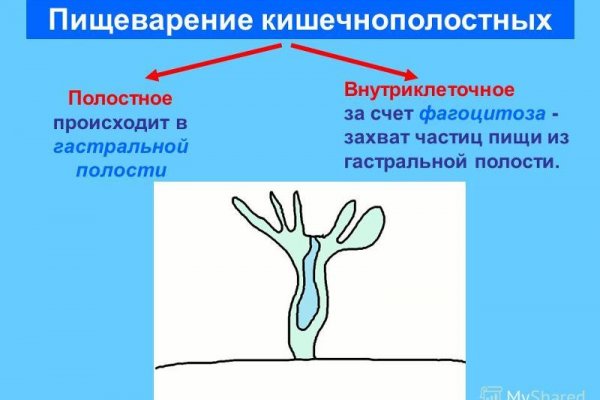 Ссылка на кракен тг