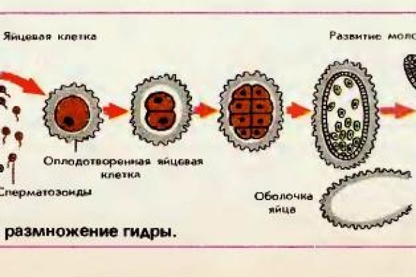 Как найти кракен шоп